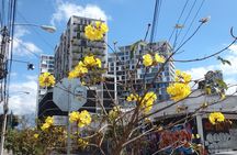 Half-Day Historical Tour of Guatemala City