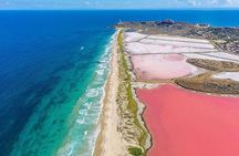 Rio Lizards and Las Coloradas Ecosafari Maya Natural Experience