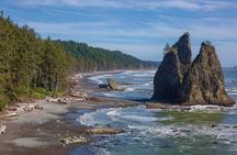 From Seattle Private Hoh Rain Forest and Rialto Beach Tour
