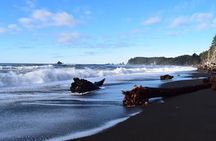 From Seattle Private Hoh Rain Forest and Rialto Beach Tour