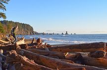From Seattle Private Hoh Rain Forest and Rialto Beach Tour