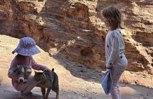 Petra in 3 Hours – Highlights with a private guide