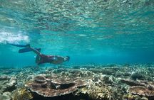 Snorkeling with Turtles: Dubai to Fujairah with Transfer and BBQ