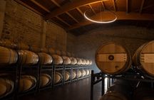 Visit to the winery with a tasting of 3 wines and appetizers