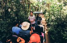 Under the Iguazu Falls live the Great Adventure + Train & Safari