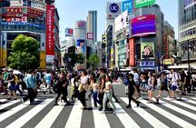 Shibuya Evening Walking Tour Tokyo in a Flash