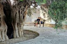 Paphos - Troodos Mountains: To the highest peaks.