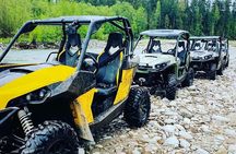 Zakopane Buggy Adventure: Off‑Road, Mountain Views & Bonfire