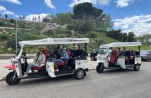 Madrid Tuk Tuk & Olé Experience – Private 1.5h Cultural Tour