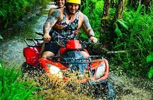 Ubud ATV Jungle, Rice Fields & Gorila Cave Tunnel with Meal