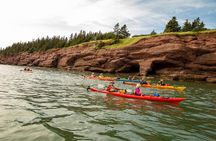 Kayak the Bay of Fundy Sea Caves