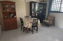 Indian Vegetarian Cooking Class in Singapore With Kalpana 