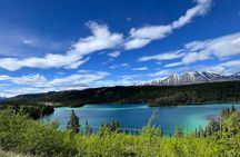 Full Day Emerald Lake Tour with or without Huskies