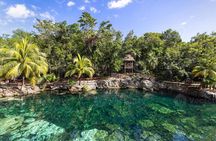 Cenotes Casa Tortuga: 5 Cenotes Day Pass