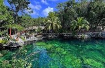 Cenotes Casa Tortuga: 5 Cenotes Day Pass
