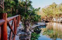 Cenotes Casa Tortuga: 5 Cenotes Day Pass