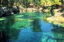 Cenotes Casa Tortuga: 5 Cenotes Day Pass