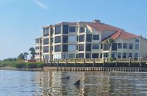 New Smyrna Mangrove Paddle & Mimosa Tour