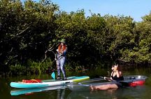 New Smyrna Mangrove Paddle & Mimosa Tour