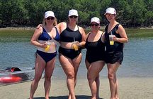 New Smyrna Mangrove Paddle & Mimosa Tour
