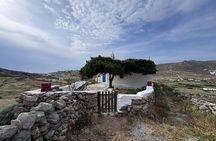 Mykonos Island Tour for Cruise Passengers