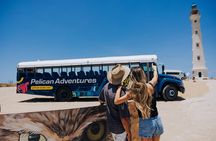 Aruba with Bus and Hop-on Hop-off Tour
