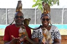 Monkey Home Puerto Plata Countryside Tour