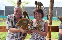 Monkey Home Puerto Plata Countryside Tour