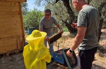 Zakynthos Bee Kingdom Experience