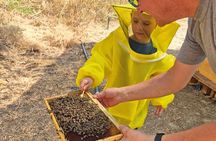 Zakynthos Bee Kingdom Experience