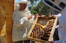 Zakynthos Bee Kingdom Experience