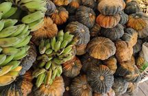 4 highlights: Sticky Waterfall/Elephants/local market /Wat Banden