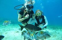 Chankanaab Park Plus Discovery Scuba Dive with Lunch