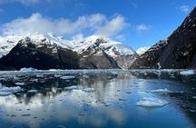 LeConte Glacier Tour and Norwegian Town Exploration