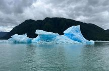 Wrangell Alaska Marine Sightseeing Tour