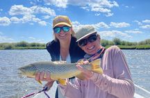 Full Day Guided Fly Fishing Trip From Jackson Hole