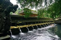 Ubud Private Tour: Waterfalls, Water Temple & Rice Terraces Swing