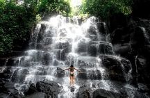 Best Of Ubud Private Tour with Optional Multitype Language Guide 