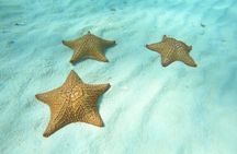 Cozumel El Cielo Snorkeling Tour