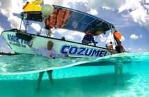 Cozumel El Cielo Snorkeling Tour