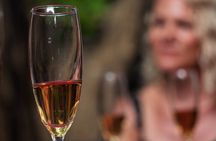 Sip and Learn Tequila Tasting in Mexico