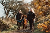 Alpaca Trekking Experience at Wetley Moor Common