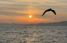 Istanbul's Golden Hour: Bosphorus Sunset Cruise By Boat