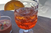 Catamaran Sailing Experience Manilva Dolphins Tapas and Welcome Drink