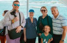 Hiroshima & Miyajima Private Custom Tour with Local Guide