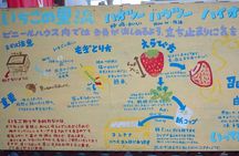 Ashikaga Flower Fantasy and Fruit Picking Tour from Tokyo