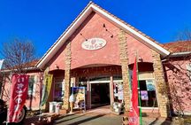 Ashikaga Flower Fantasy and Fruit Picking Tour from Tokyo