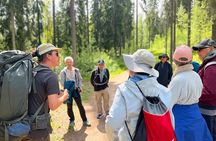 National Park Hike & Finnish Smoke Sauna Experience with Campfire Lunch