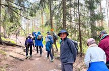 National Park Hike & Finnish Smoke Sauna Experience with Campfire Lunch