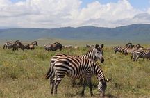 5-Day Group Camping Safari Adventure